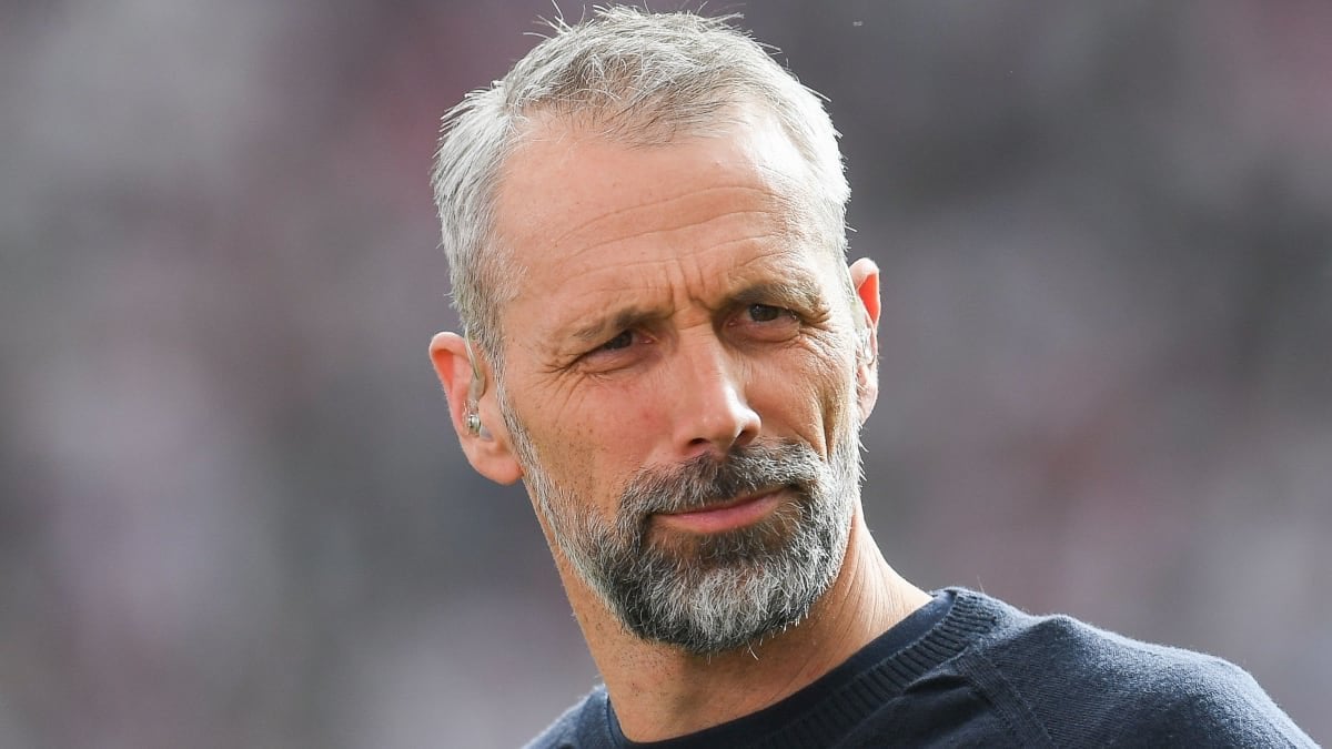 Rose: "Wenn wir unsere drei Punkte nicht holen, brauchen wir nicht schauen, was in anderen Stadien passiert. Es ist nicht selbstverständlich, dass wir jedes Jahr Champions League spielen. Für viele ist es das möglicherweise, aber den Zahn muss ich leider ziehen."