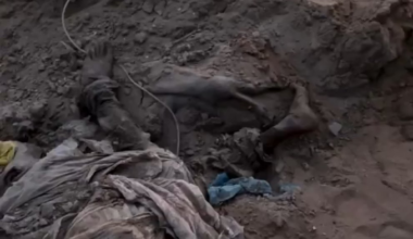 [NSFL] Pour cacher l'étendue du massacre de Al Shifa et rendre non-identifiable les victimes, l'armée Israëlienne a brûlé des familles entières, les ont enterré et passé au bulldozer. Ici on y voit des morceaux de cadavres d'enfants, des mains ligotées, dans les décombres