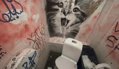 Genomsnittlig toalettupplevelse på bargatan Andra Långgatan i Göteborg