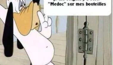 Avec de la bonne bouffe… du bon vin bien sûr !