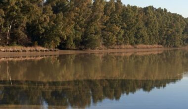 Escándalo en el Guadalquivir: la Junta pretende aprobar el vertido de 80.000 millones de litros de aguas tóxicas procedentes de la mina de Aznalcóllar en el río