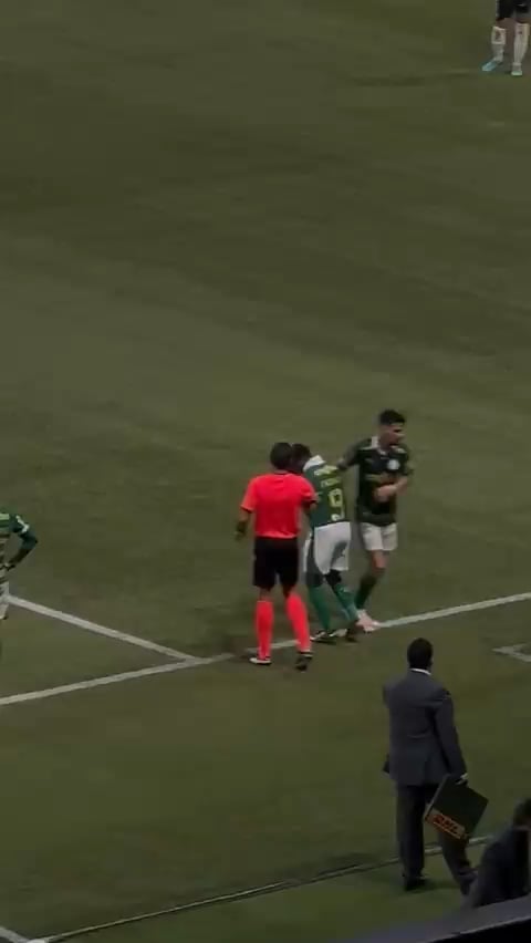 Endrick gets shoved from the back after just being subbed in to the match.
