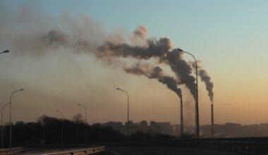 Scientists say voluntary corporate emissions targets not enough to create real climate action