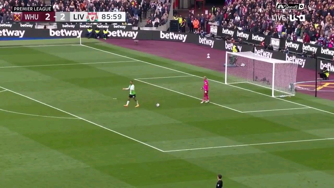 Areola rolls the ball out and Gakpo goes to collect but Anthony Taylor blows his whistle