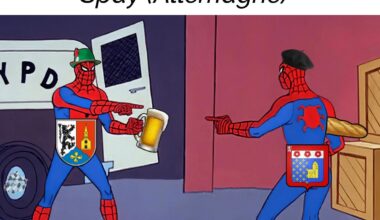 Into the Spayderverse