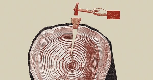 Le journalisme français, un danger public