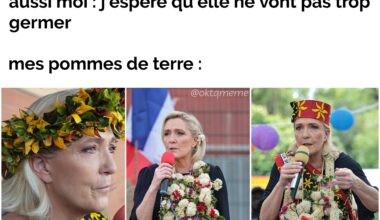 Pen de terre