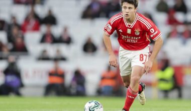 Matic: "Se eu fosse o João Neves, ficaria no Benfica"
