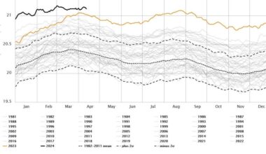 The Crisis Report - 67
