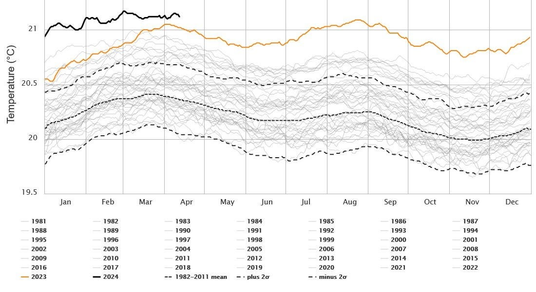 The Crisis Report - 67