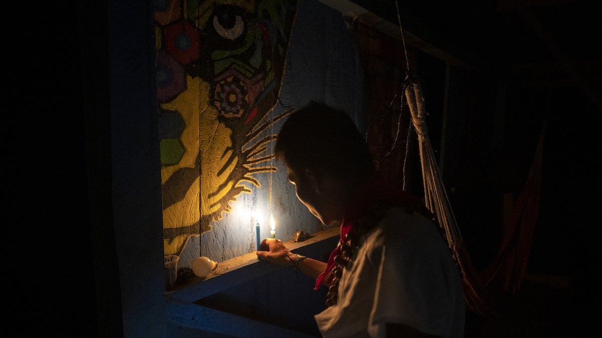 L'ayahuasca, breuvage hallucinogène devenu l'opium des riches