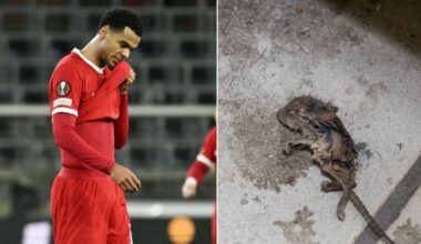 Liverpool ace Gakpo accused over 'rat-infested' rental homes 'unfit for humans'
