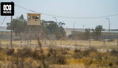 Gazan men who say they were detained by Israeli army detail shocking allegations of physical and sexual abuse