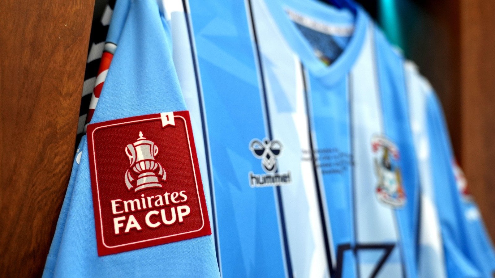 The FA is no longer fit for purpose; they are shills to the Premier League