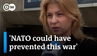 Ukraine Deputy PM on NATO and the war in Ukraine | DW News