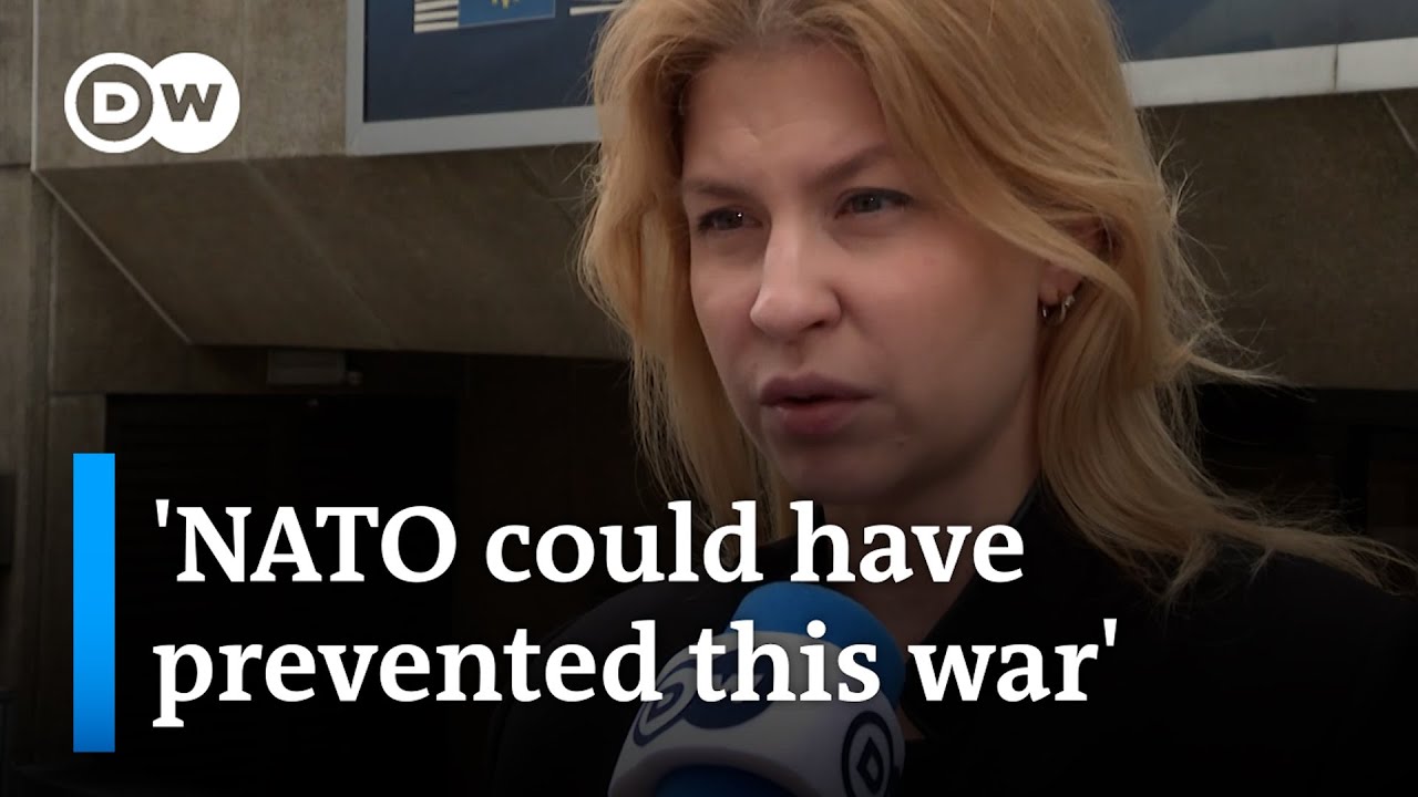 Ukraine Deputy PM on NATO and the war in Ukraine | DW News