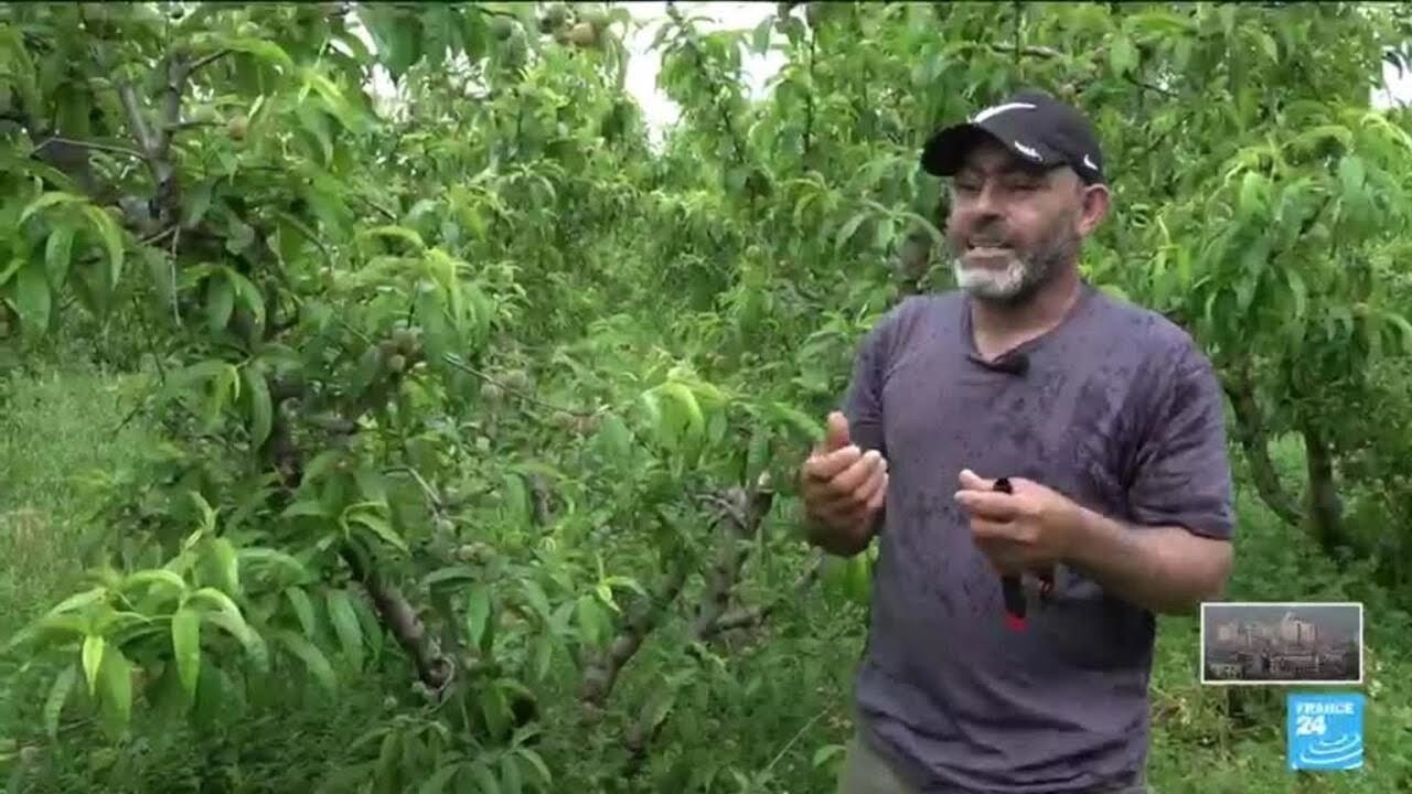 Israël : reportage dans le nord du pays, une zone vidée de ses habitants • FRANCE 24