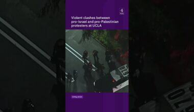 Violent scenes at US campus protests