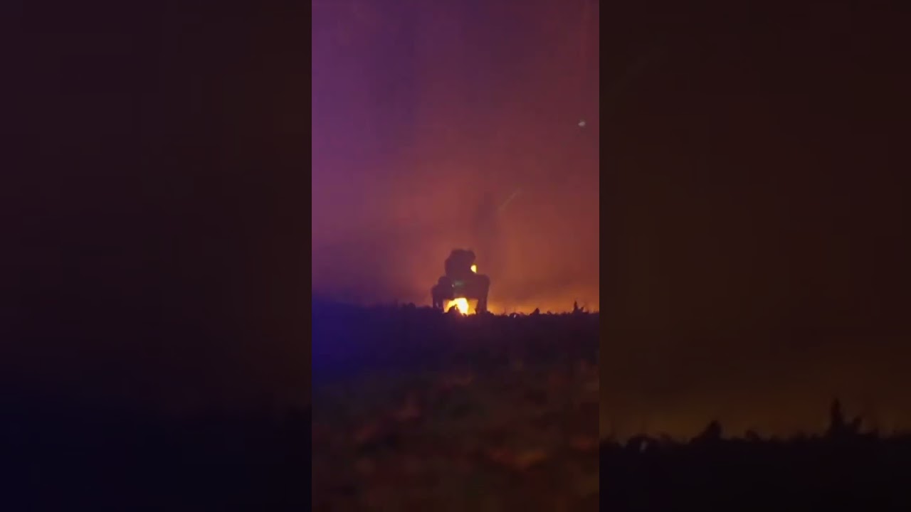 THERMONATOR: Hund mit Flammenwerfer sorgt für Aufsehen! #shorts
