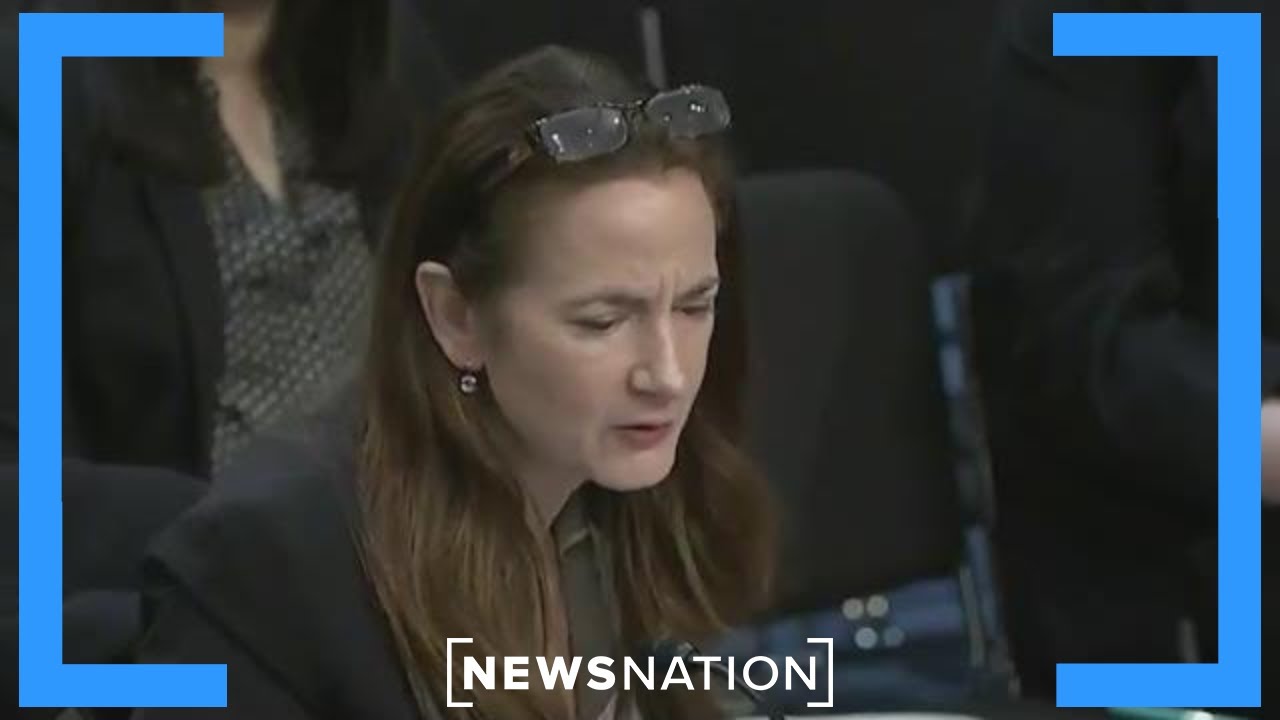 Ukraine war not likely to end anytime soon: Top US spy | NewsNation Now