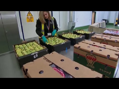 Le casse-tête des nouveaux contrôles douaniers post-Brexit