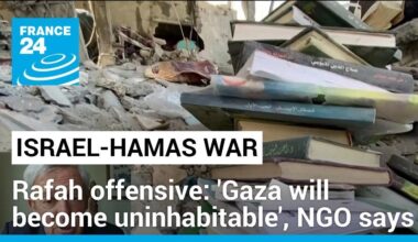 Israel's Rafah offensive: 'Gaza will become uninhabitable', NGO says • FRANCE 24 English