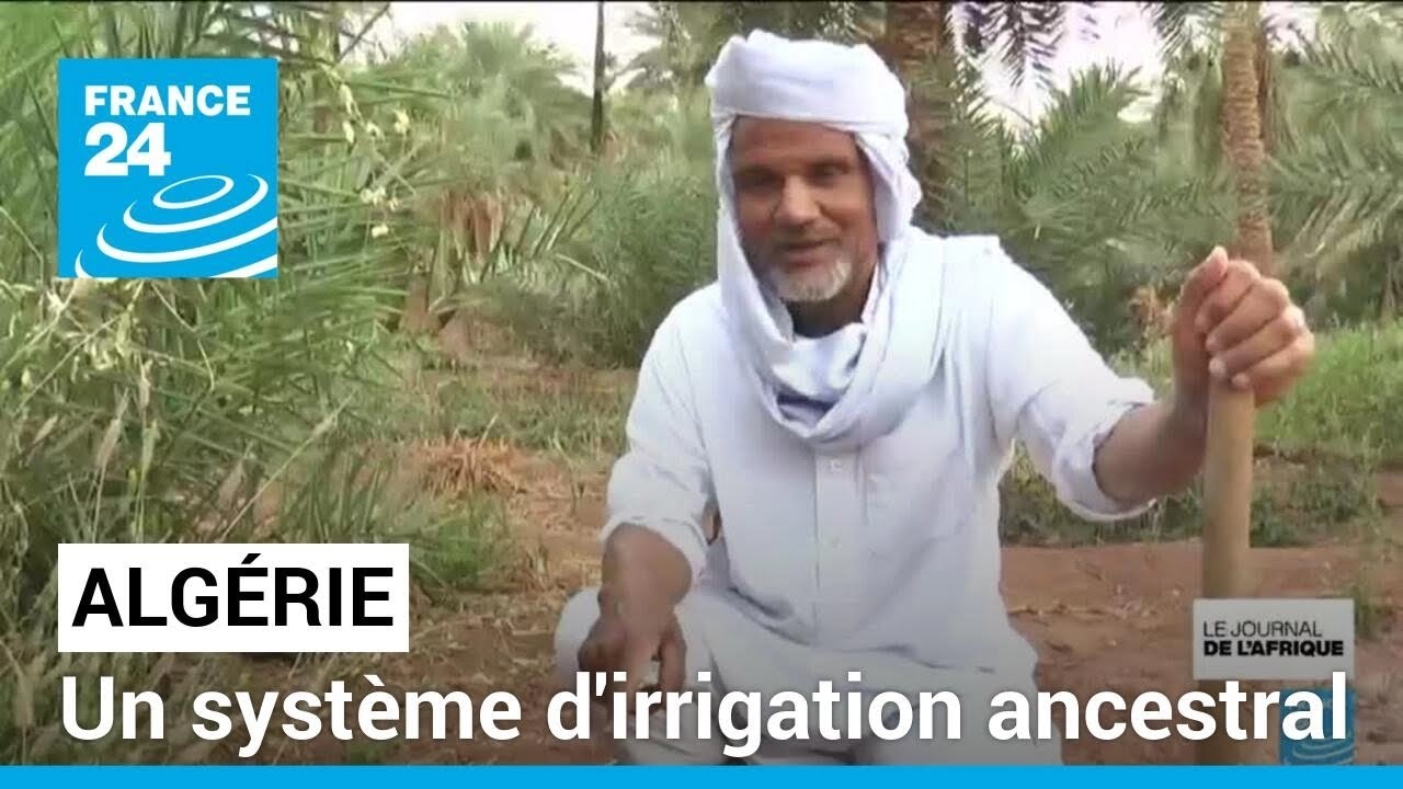 Gestion de l'eau en Algérie : un système d'irrigation ancestral • FRANCE 24