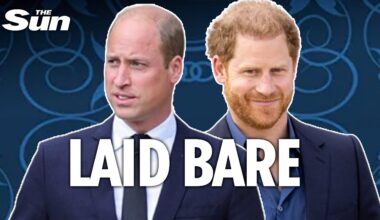 It's telling Harry didn't see Wills on last UK visit - it shows how troubled their relationship is