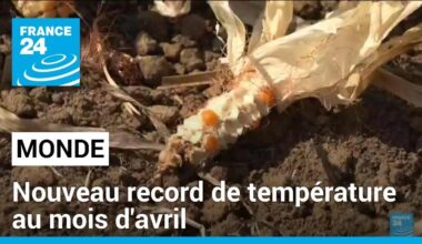 Climat : la planète a encore battu des records de températures au mois d'avril • FRANCE 24