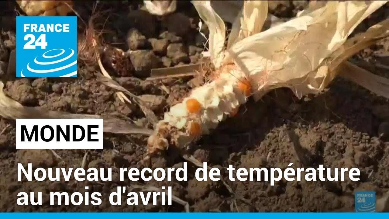 Climat : la planète a encore battu des records de températures au mois d'avril • FRANCE 24