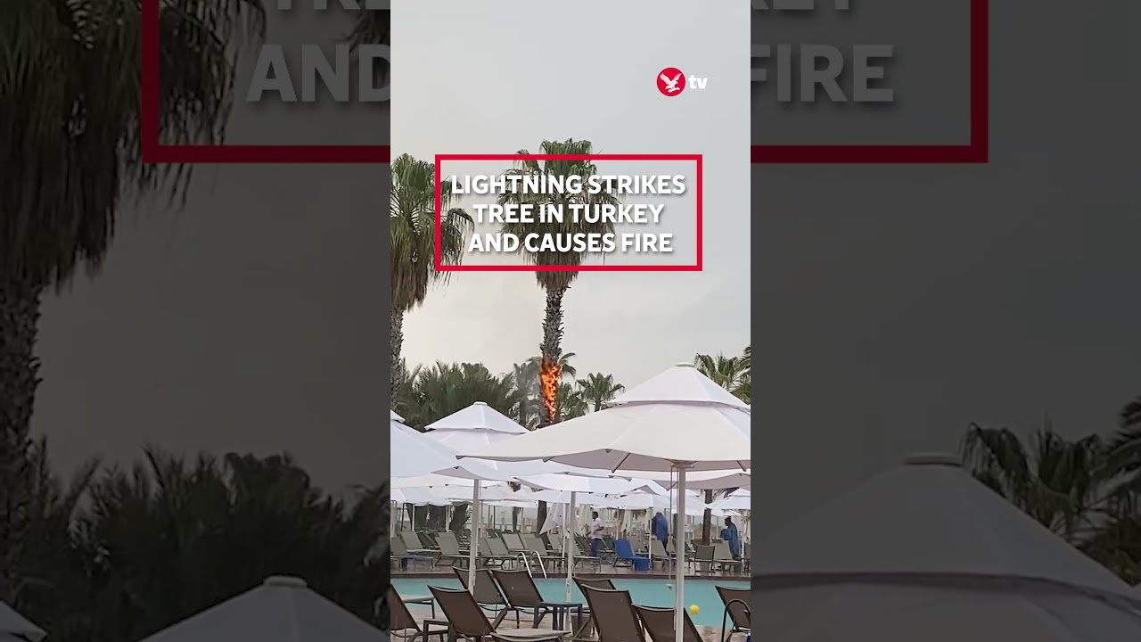 Lightning strike at Turkish holiday hotel sets fire to tree #shorts