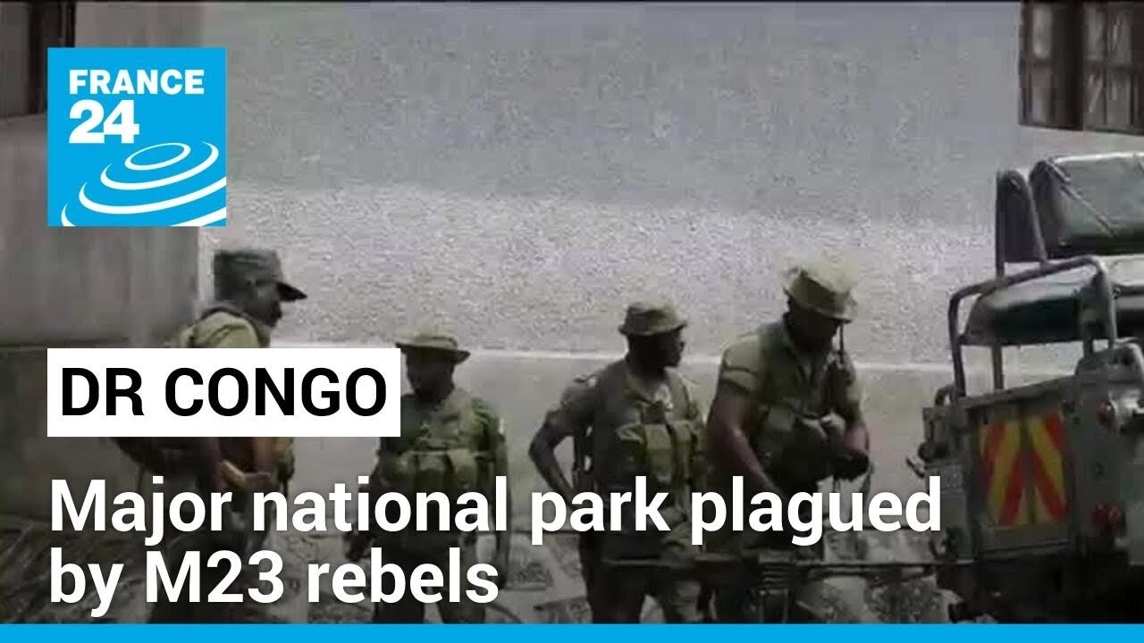 Democratic Republic of Congo: Virunga national park plagued by M23 rebels • FRANCE 24 English