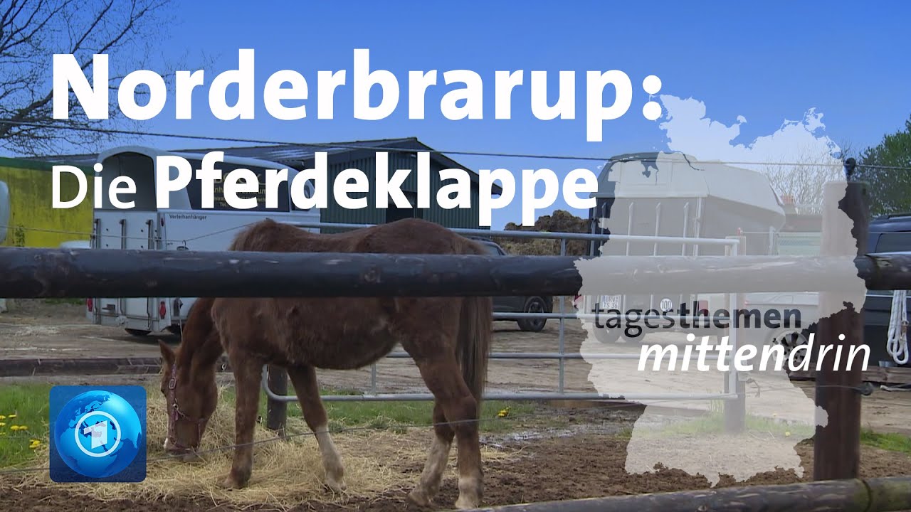 Norderbrarup: Die Pferdeklappe | tagesthemen mittendrin