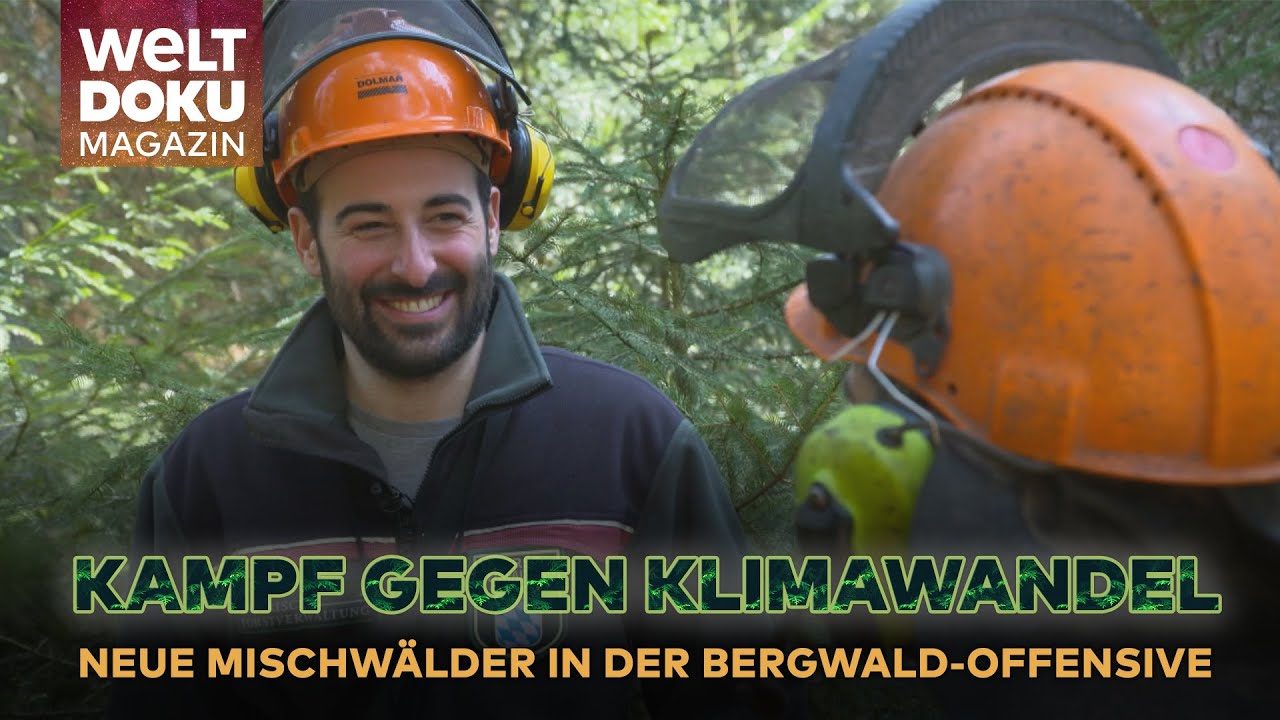 KLIMAWANDEL: Die Bergwaldoffensive zur Rettung der deutschen Natur - wie neue Mischwälder entstehen
