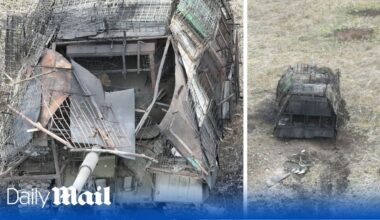 Monster Russian turtle tank is destroyed along with two of its smaller 'siblings'