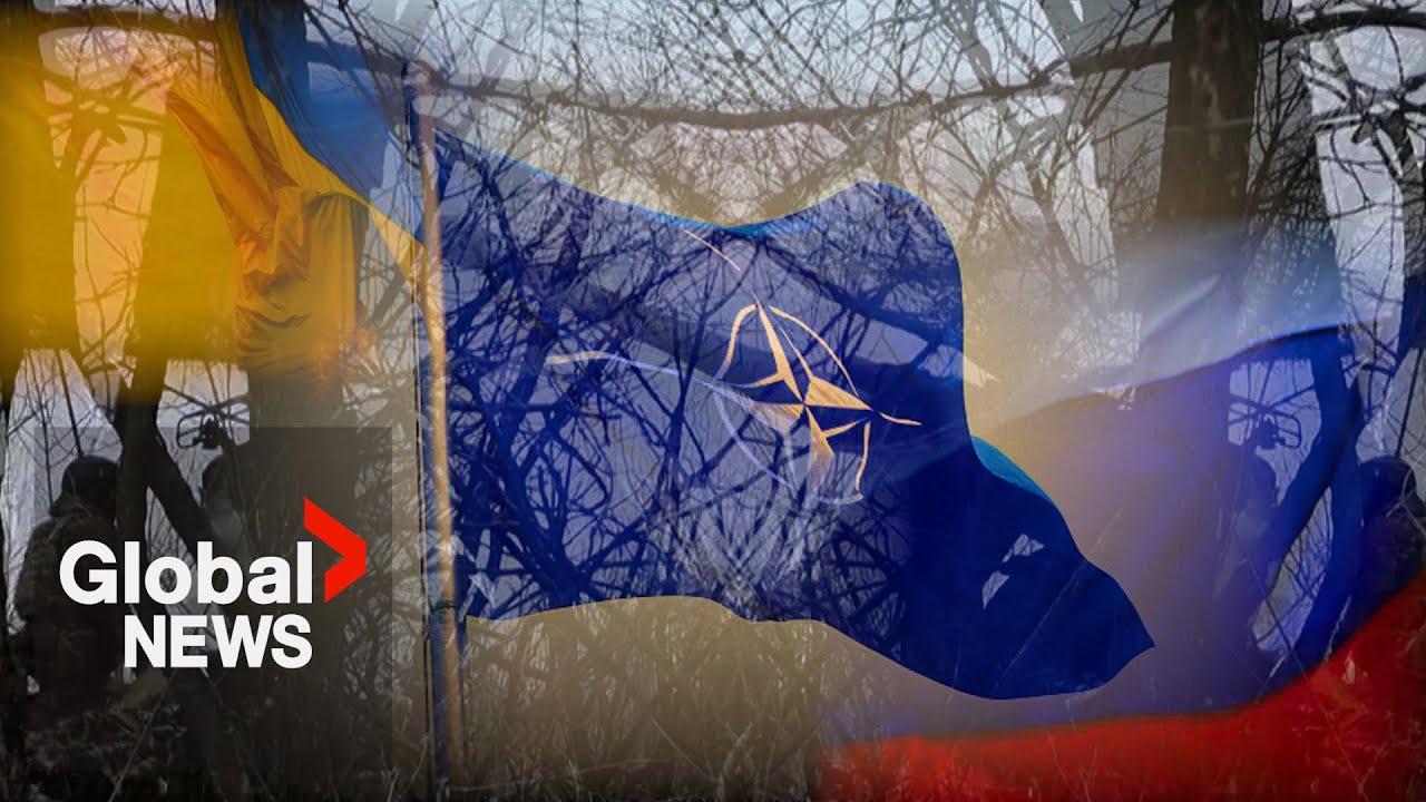 Ukraine has reclaimed half of territory lost at start of war: NATO