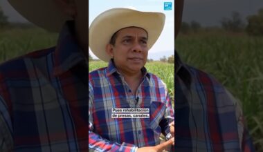 2/2 ▶️ México: campesinos de Morelos en jaque por falta de agua y apoyo gubernamental