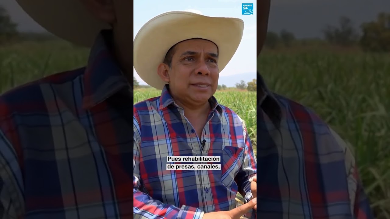 2/2 ▶️ México: campesinos de Morelos en jaque por falta de agua y apoyo gubernamental