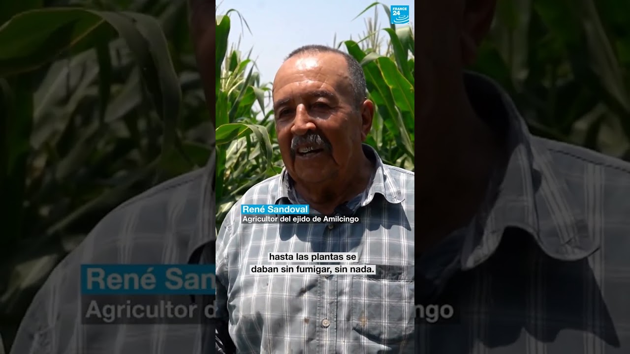 1/2 ▶️ México: campesinos de Morelos en jaque por falta de agua y apoyo gubernamental