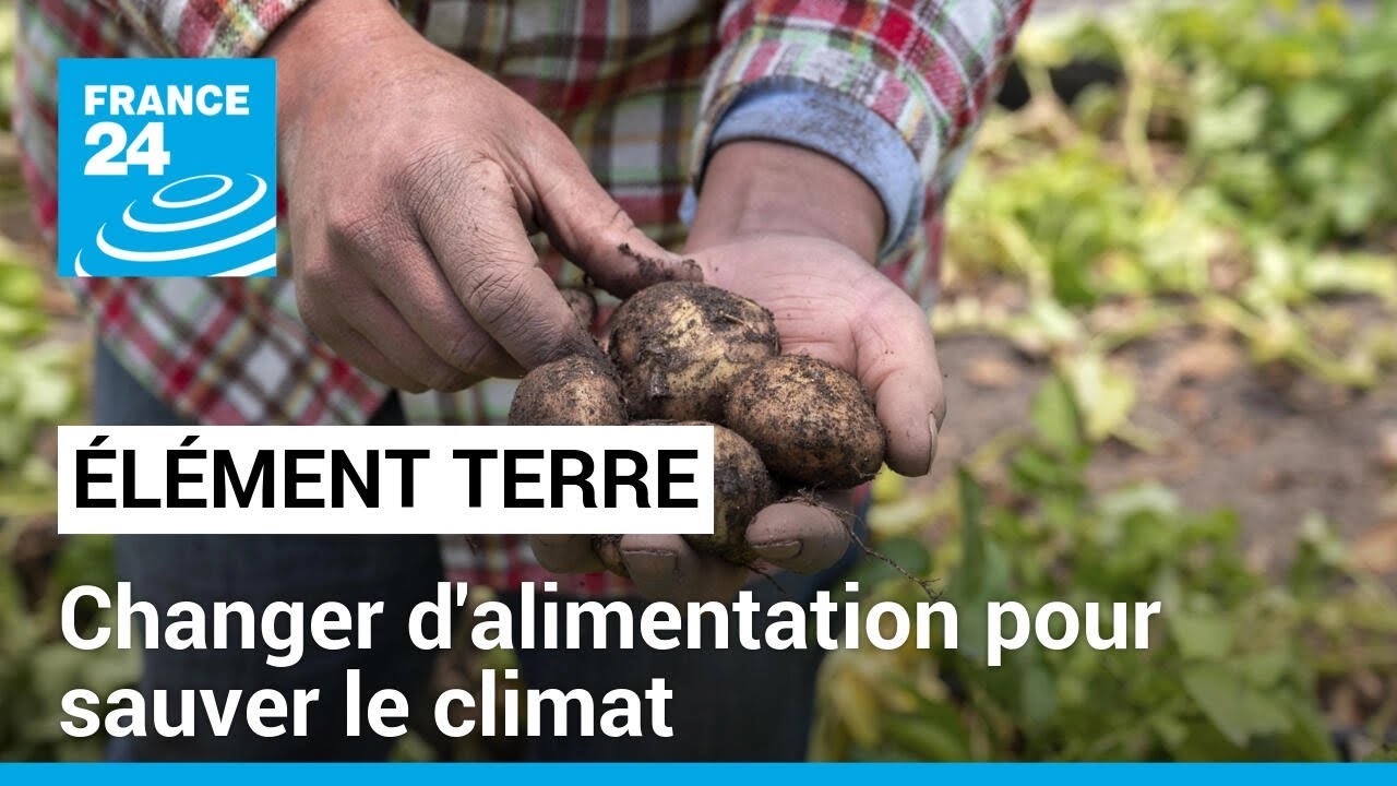 La Banque Mondiale appelle à une révolution agricole pour sauver le climat • FRANCE 24