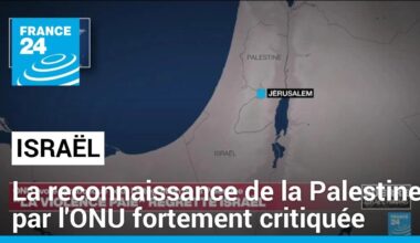 Reconnaissance de la Palestine à l'ONU : les autorités israéliennes fulminent • FRANCE 24