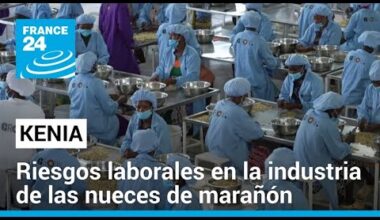 La cara oculta de la producción de nueces de marañón en Kenia