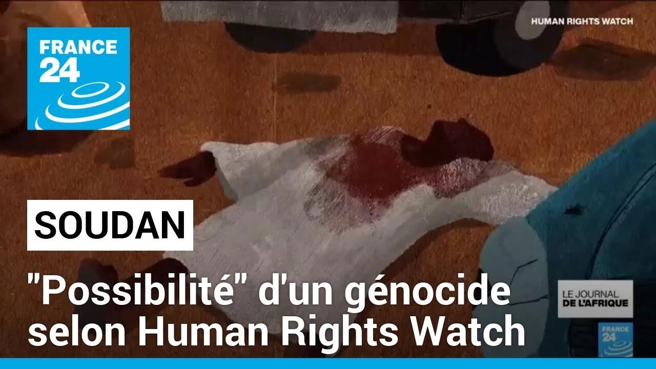 Soudan : Human Rights Watch soulève de nouveau "la possibilité" d'un génocide au Darfour