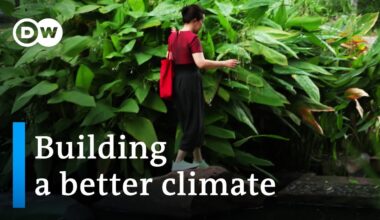 Floods, heavy rain, extreme weather - Why we need to build differently | DW Documentary