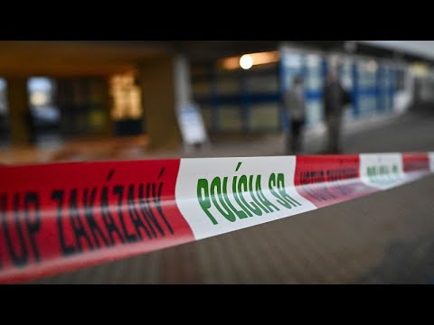 De "graves erreurs ont été commises" par la sécurité de Robert Fico (expert)