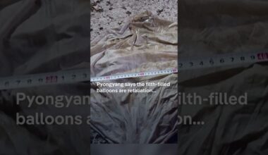 North Korea sends balloons carrying excrement to the south | DW Shorts
