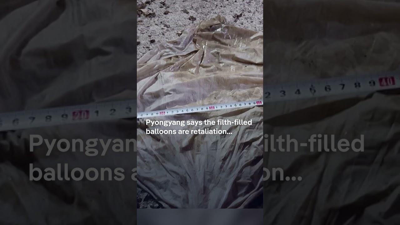 North Korea sends balloons carrying excrement to the south | DW Shorts