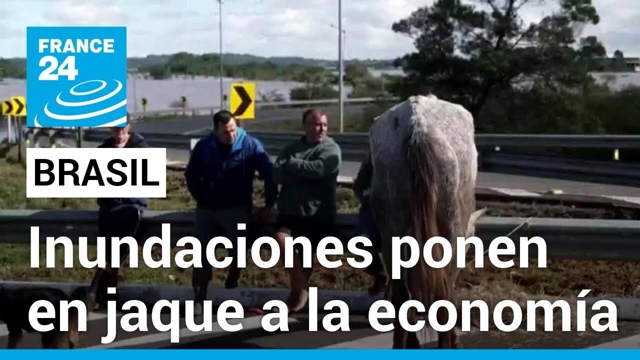 Las lluvias arrasan con los sueños de cientos de granjeros en Brasil • FRANCE 24 Español