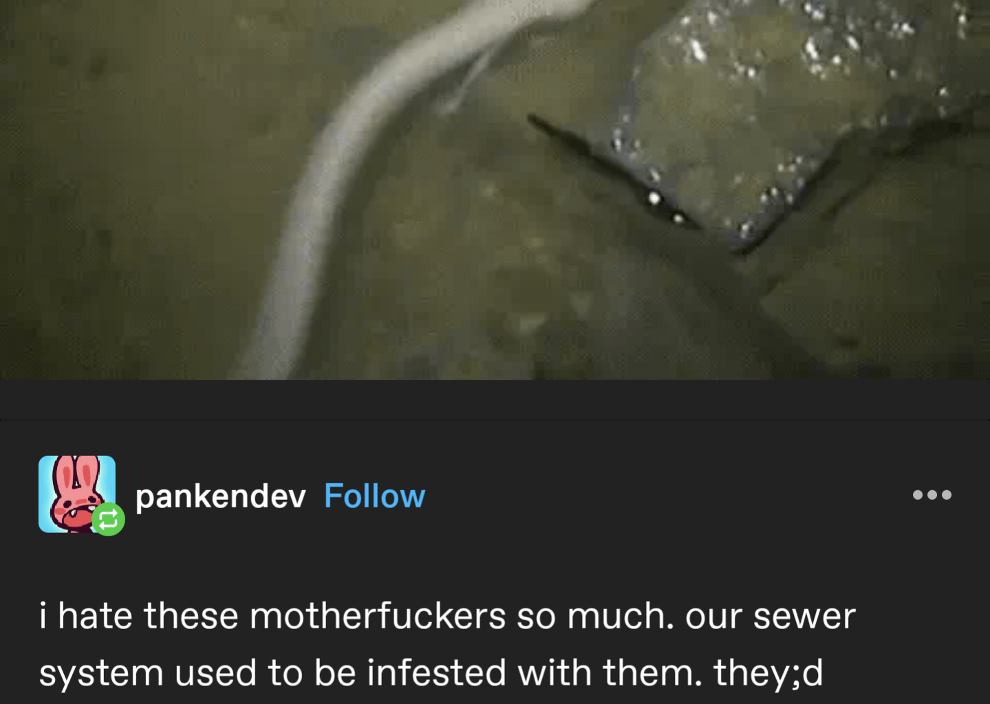 Kaj nije ovo onaj vrag iz špilje koji je zaštićena vrsta, a ima ga samo kod nas i Slovenaca?