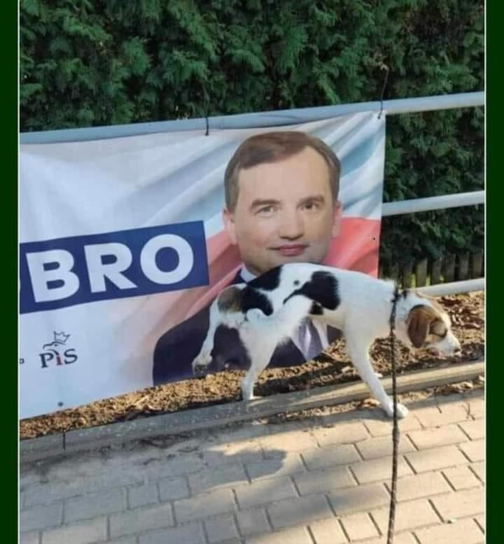 Hey bro, please